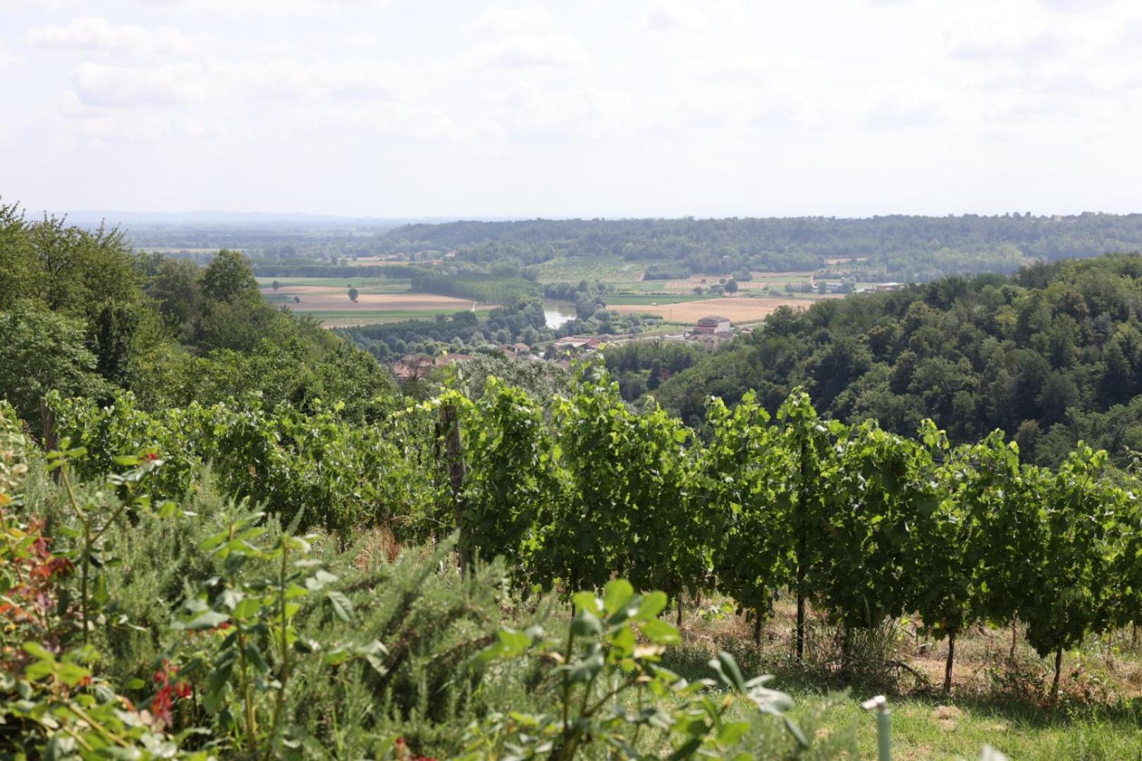 Braida Wine Resort Rocchetta Tanaro Buitenkant foto
